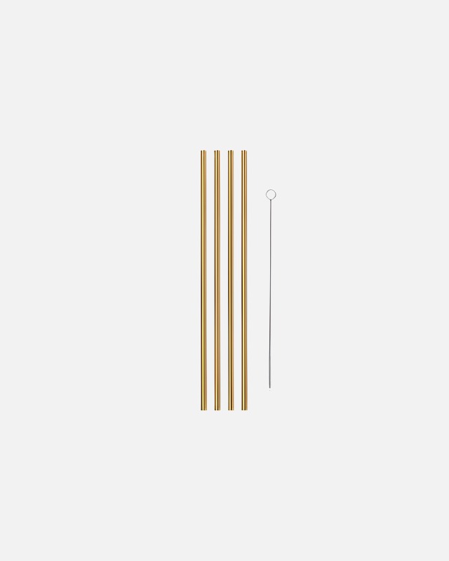 10 Metal Straws