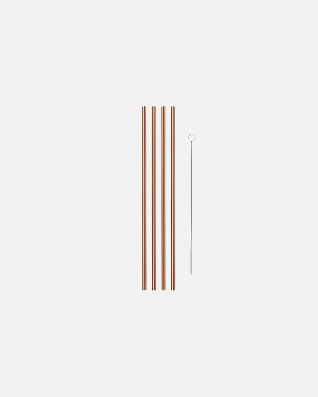 10 Metal Straws