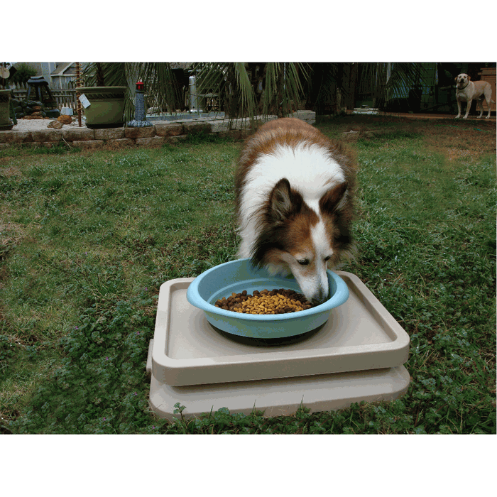 AntBlocker Ant Free Pet Feeding Tray USA Made