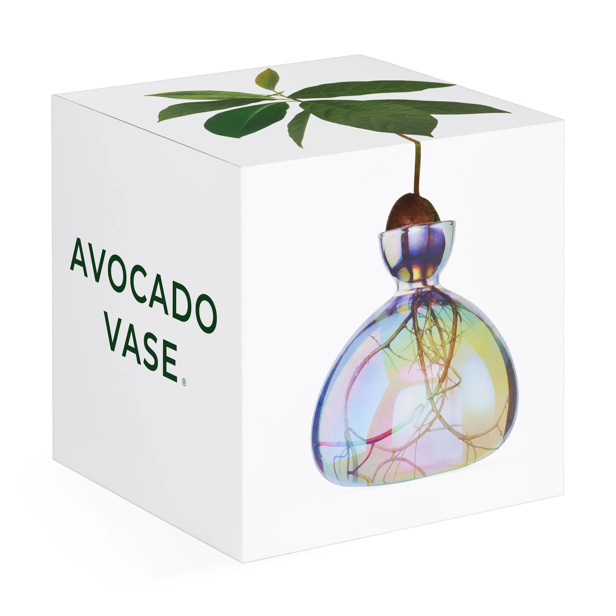 Avocado Vase