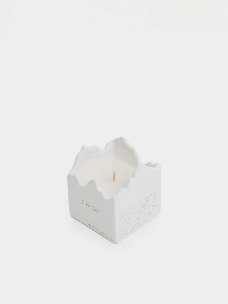 Ceramic Candle, Ginko