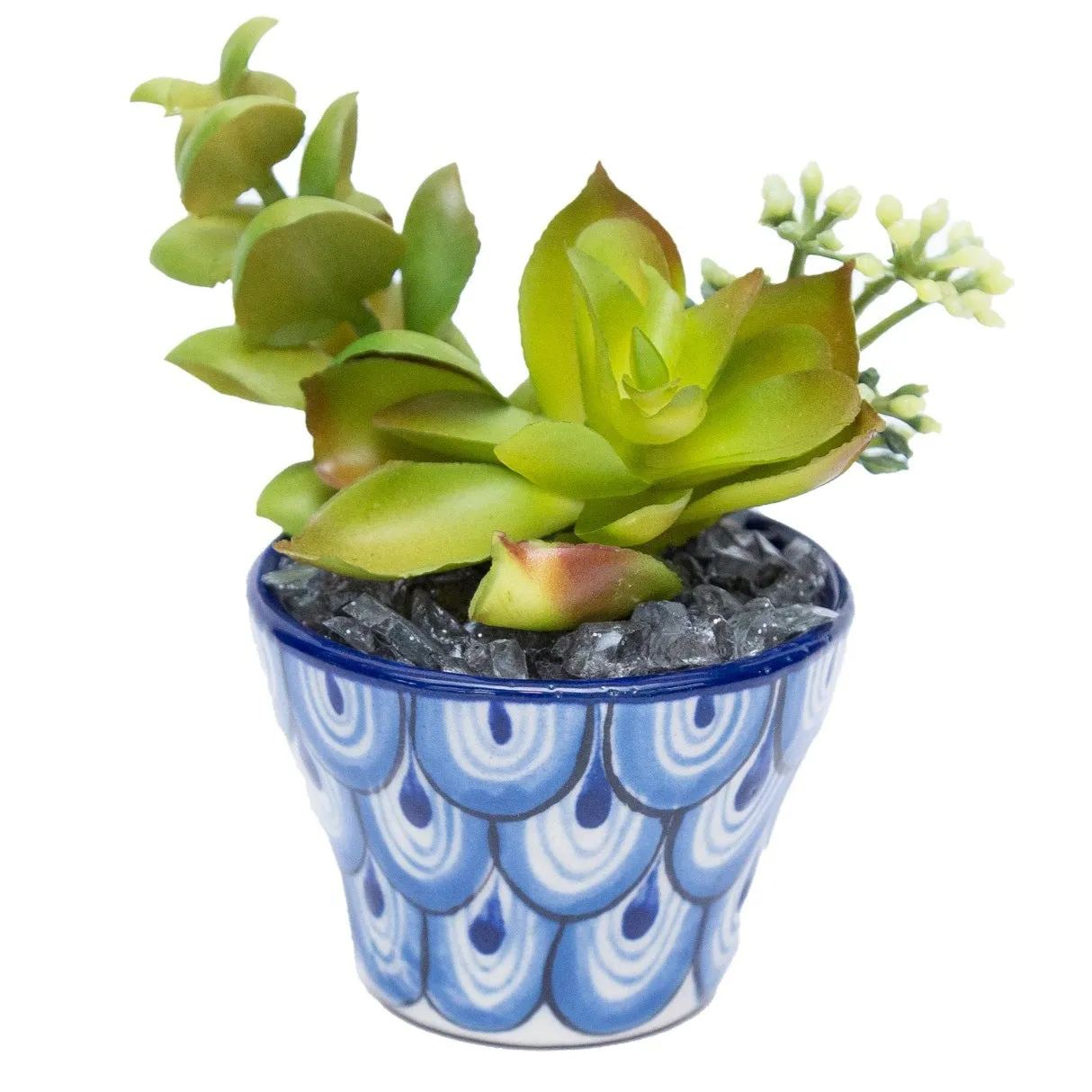 Ceramic Succulent Planter