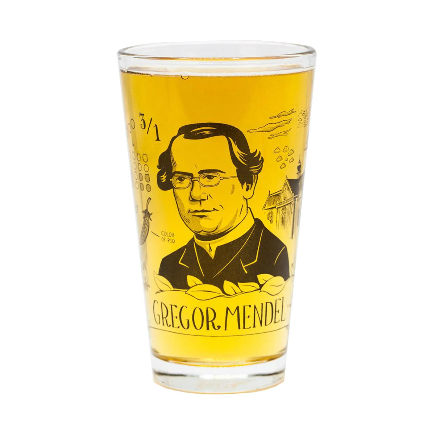 Gregor Mendel Pint Glass