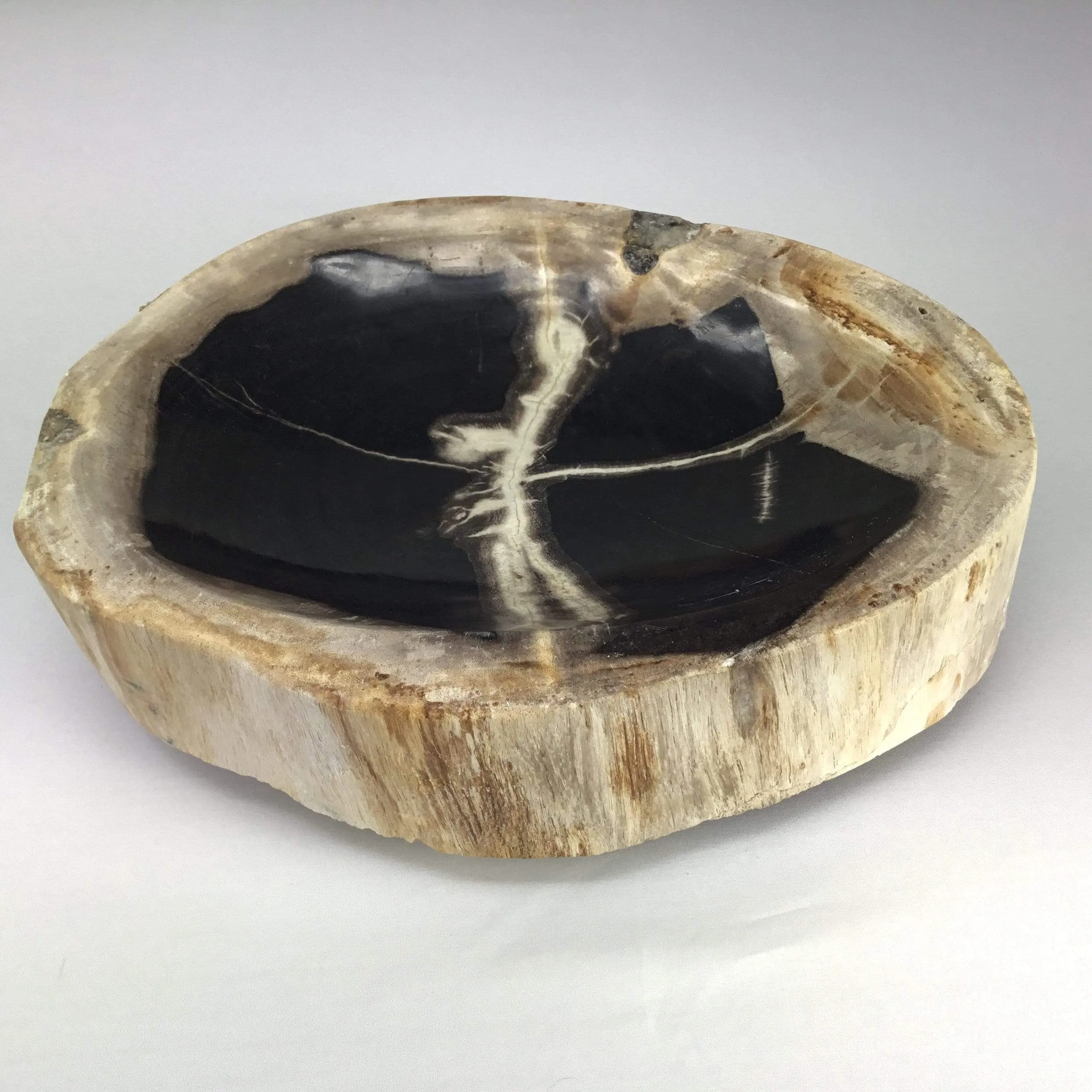 Petrified Wood Bowl