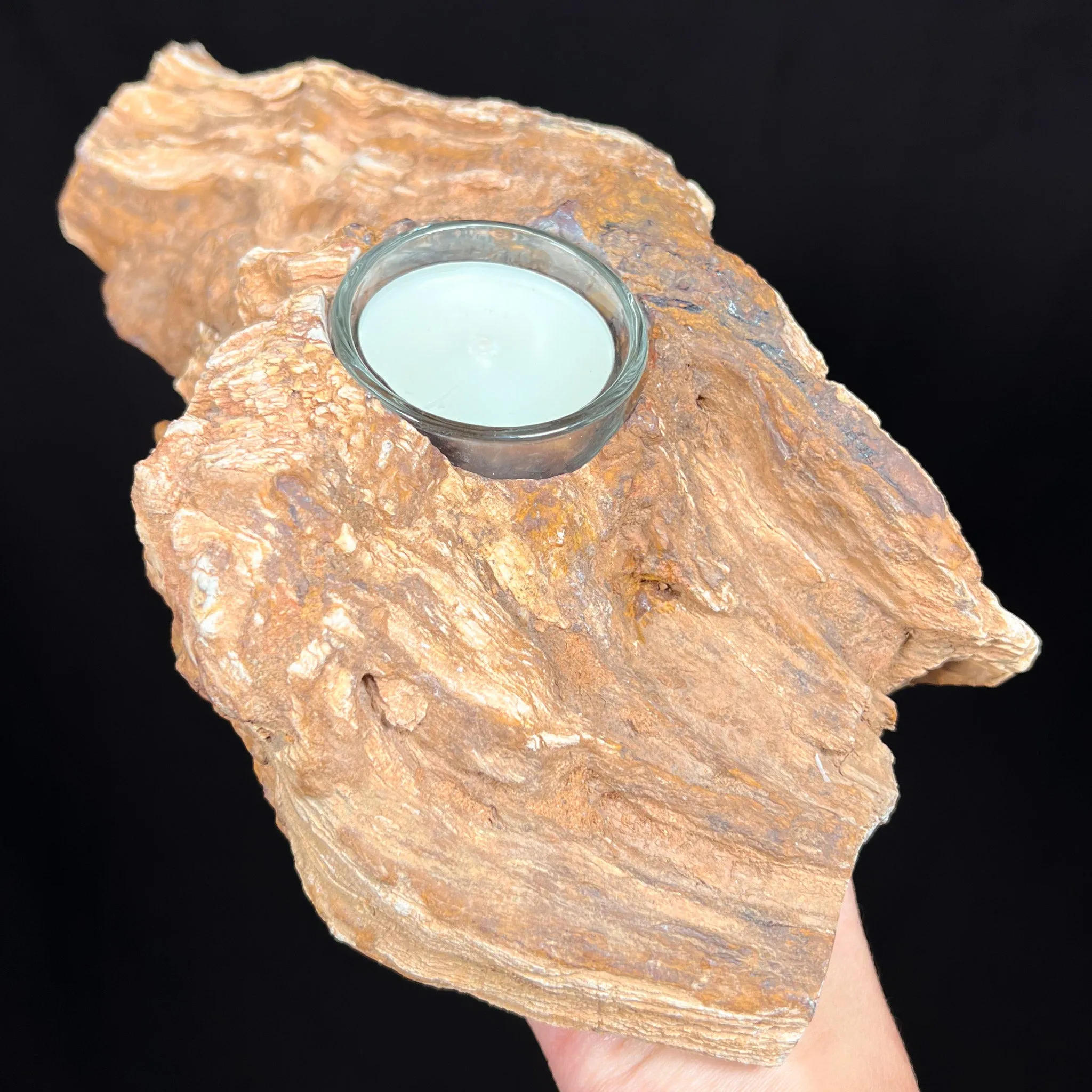 Petrified Wood Candle Holder