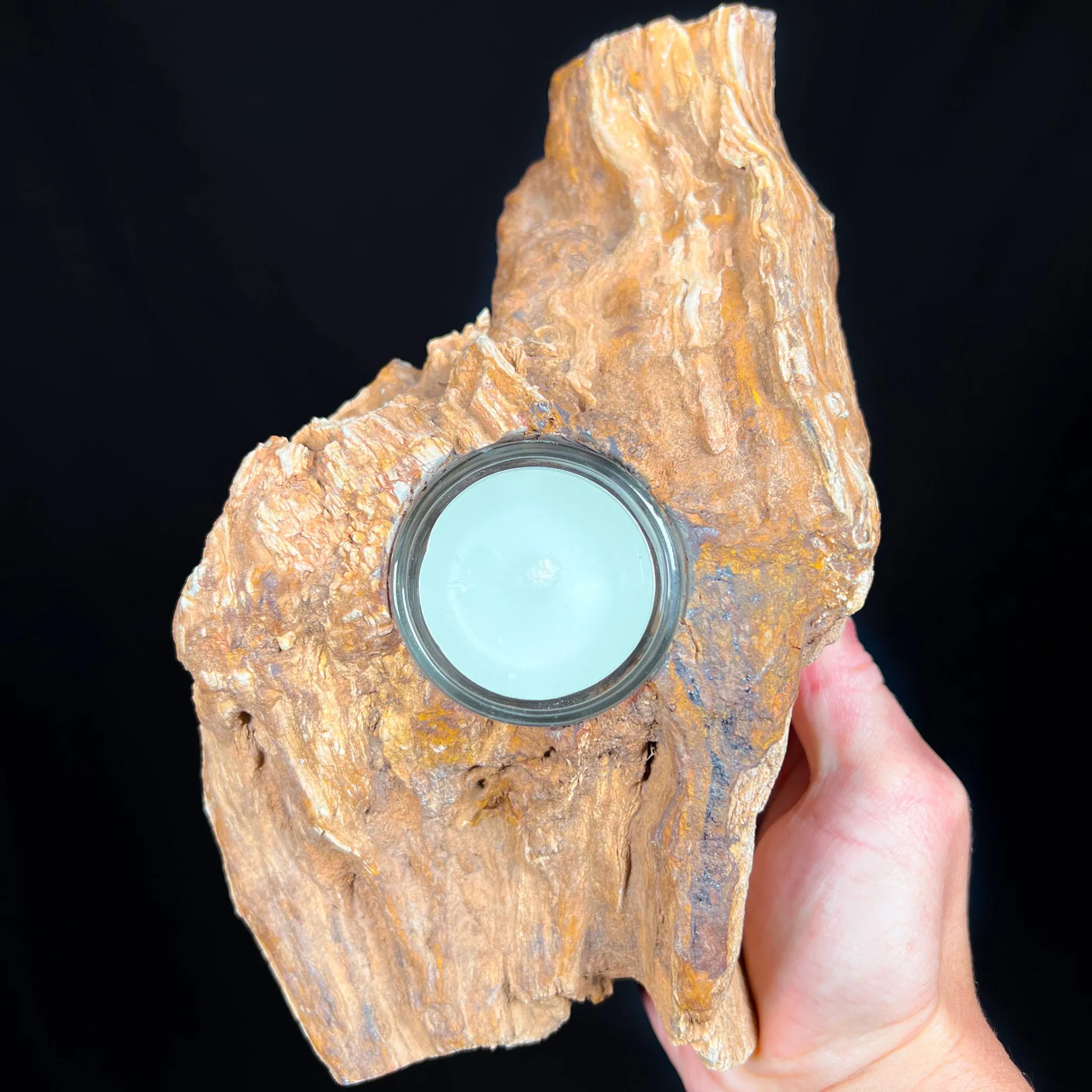 Petrified Wood Candle Holder