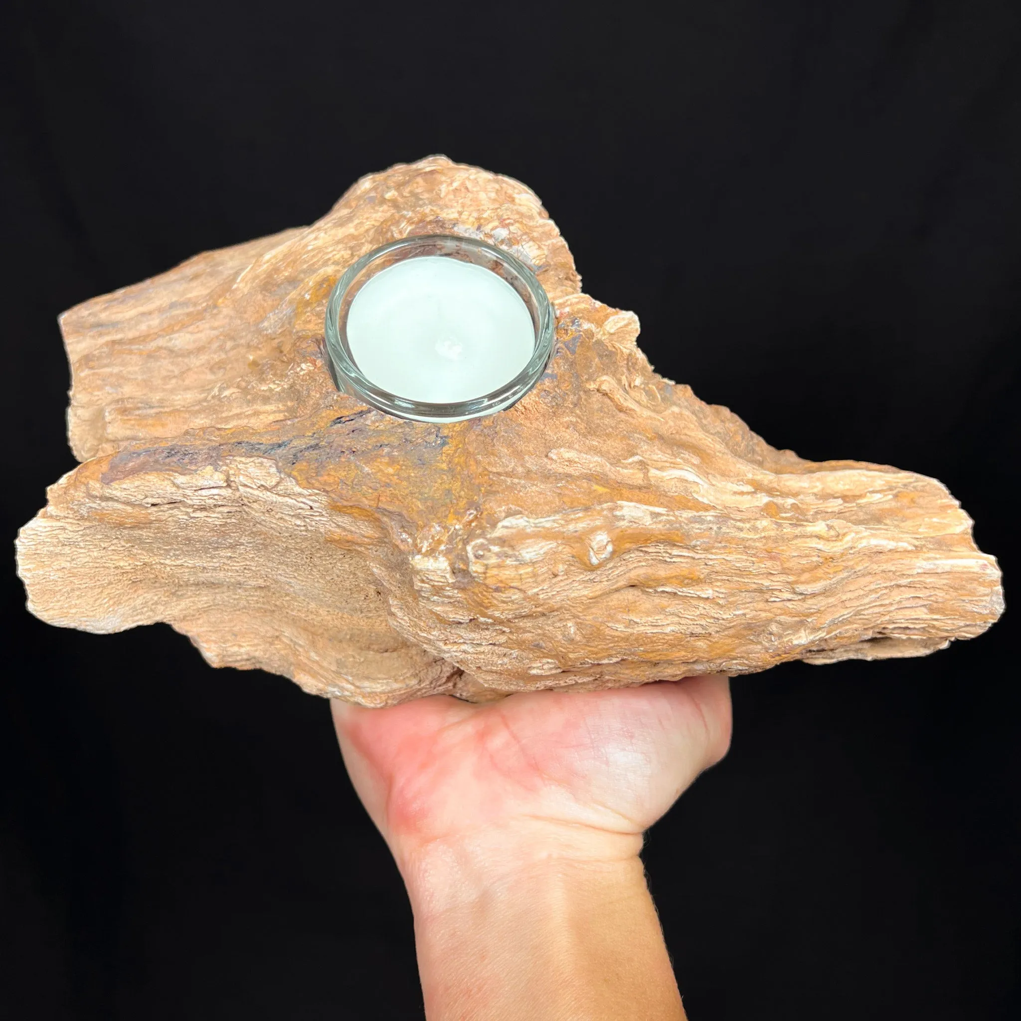 Petrified Wood Candle Holder