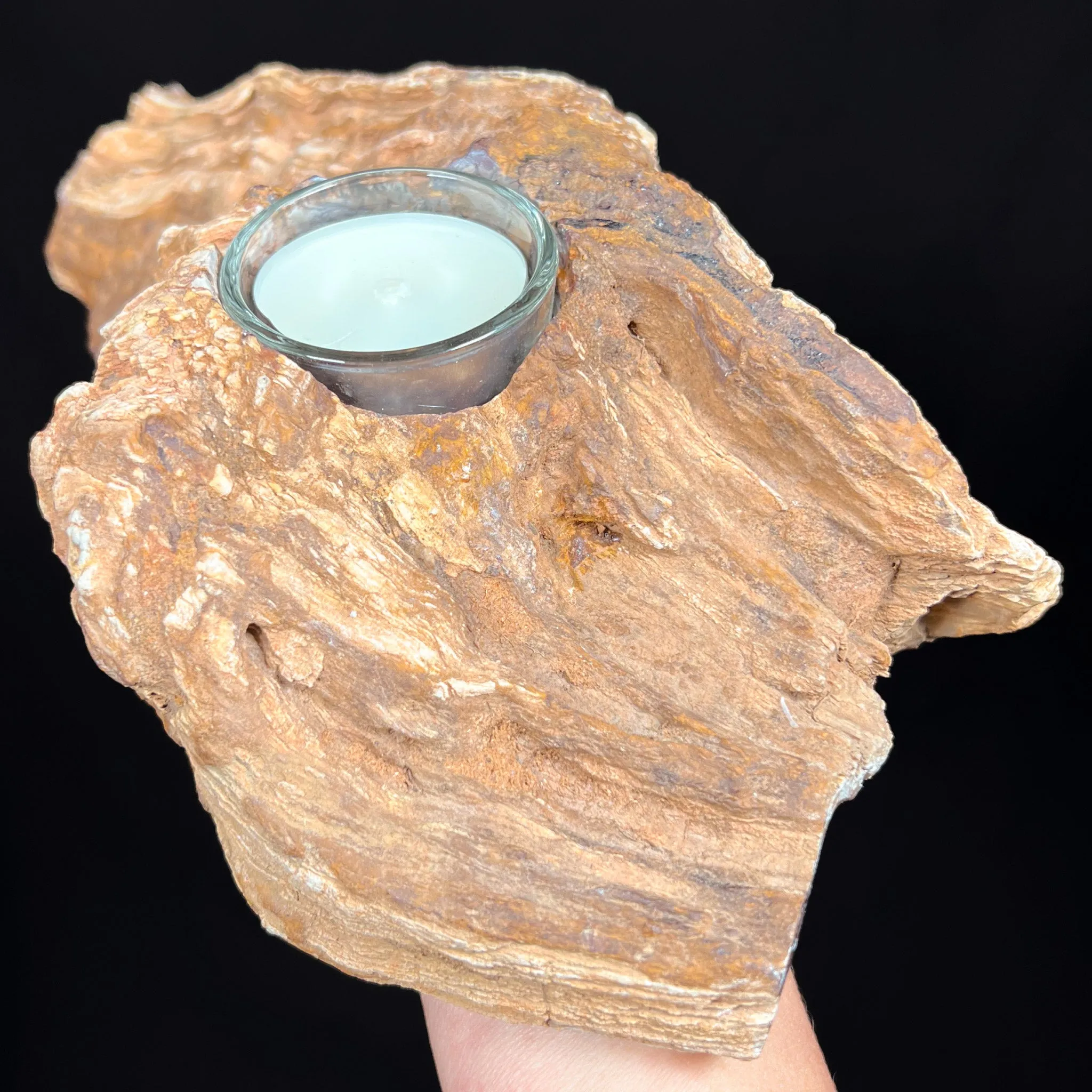 Petrified Wood Candle Holder