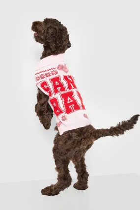 Santa Baby Dog Christmas Sweater